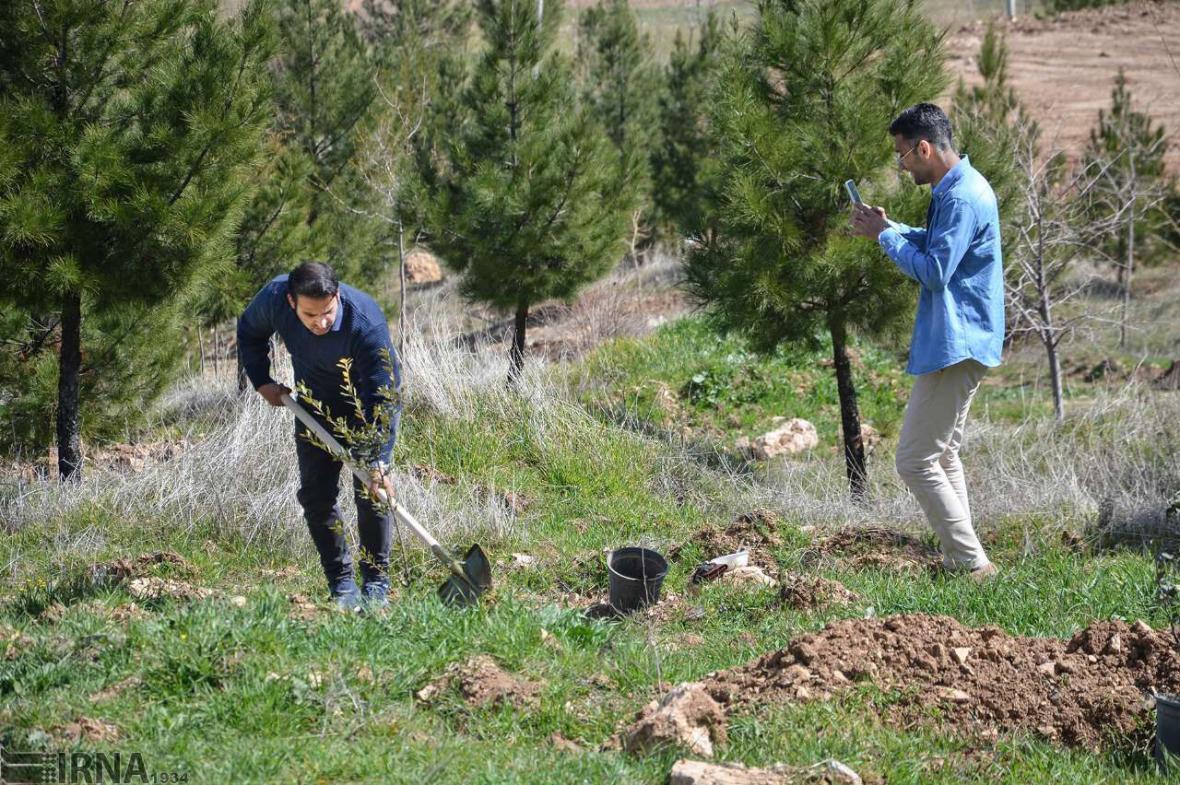 خبرنگاران عملیات کاشت 600 هزار نهال در مازندران شروع شد خبرنگاران عملیات کاشت 600 هزار نهال در مازندران آغاز شد
