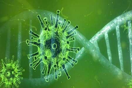 نقش ژنتیک در واکنش ایمنی بدن به ویروس کرونا