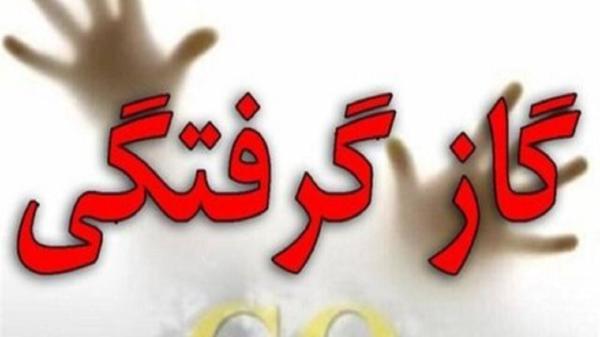 جزئیات گاز گرفتگی 28 دانش آموز در بخش طاهرآباد کاشان جزئیات گاز گرفتگی 28 دانش آموز در بخش طاهرآباد کاشان