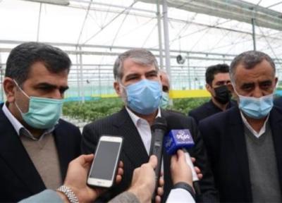 سرمایه گذاری 3 هزار میلیارد تومانی برای پروژه های کشاورزی استان مازندران